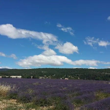 Villa Location Provence Ventoux Sault Esterno foto