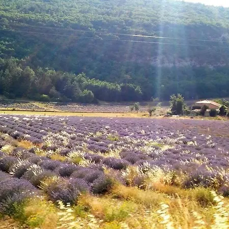 Villa Location Provence Ventoux Sault Esterno foto