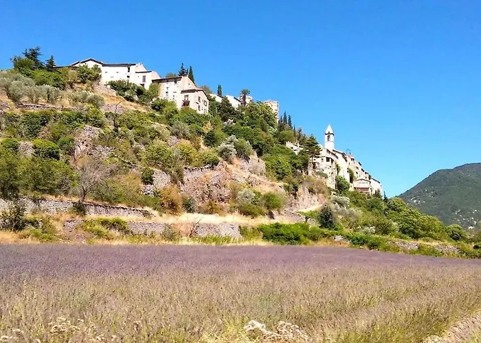 Location Provence Ventoux Sault