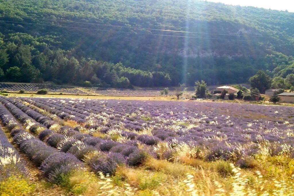 Ferienhaus Location Provence Ventoux *